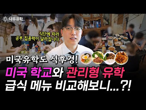 미국 학교 급식 vs 관리형 유학 식단 메뉴와 영양, 학생 만족도 전격 비교