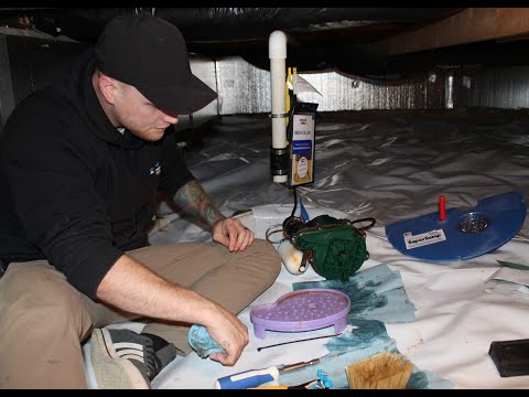 How to Properly Maintain Your Waterproofing System