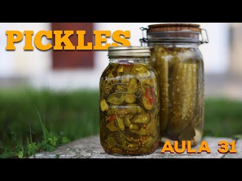 Aula 31 -  Pickles (Como Fazer Picles Lactofermentado) / Cansei de ser Chef