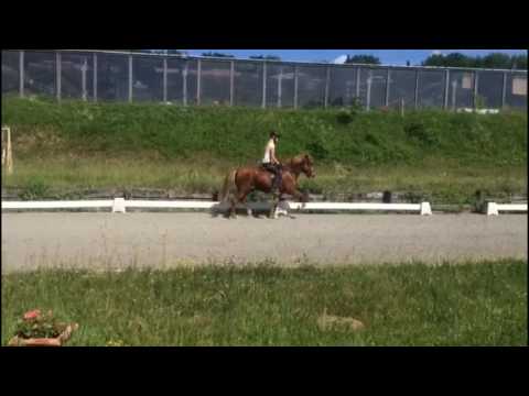 Fjalar vom Grenzland