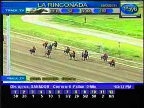 Resumen Domingo, 29 de Mayo de 2011 - La Rinconada