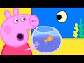 Peppa Pig English Episodes Peppa Pig Aquarium Special