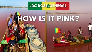 PINKEST LAKE in the WORLD by AIR! | Lac Rose, Senegal | African Pink Salt Lake Travel| Lake Retba