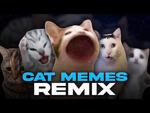 ALL CAT MEMES REMIX