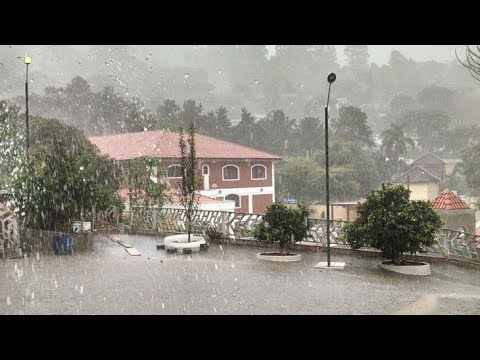 A turma do Júnior Freitas em: Volta as aulas com fortes chuvas em Alpercata Minas Gerais 