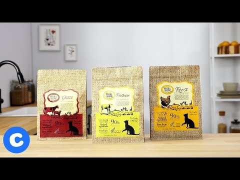 Wishbone Grain-Free Dry Cat Food | Chewy - YouTube