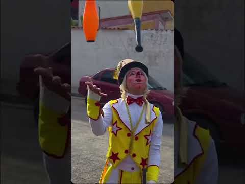 ​🎭 ¡PALAVECINO VIVIÓ UN DOMINGO DE CARNAVAL INOLVIDABLE! 🌈​¡Qué energía se sintió hoy en Agua Viva!