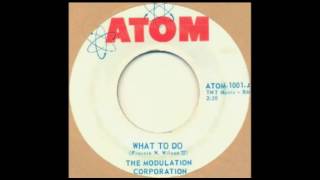 The Modulation Corporation* ‎– What To Do