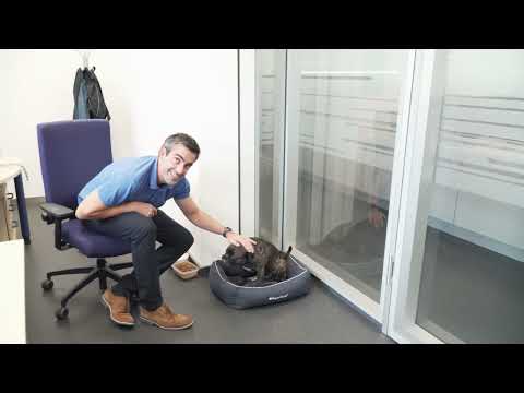 Stadtwerke Bruchsal: Wir verstärken unser Team und suchen Projektmanager!