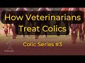 How Veterinarians Treat Colic Horses Colic Series 3