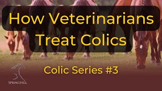 Thumbnail for How Veterinarians Treat Colic Horses video