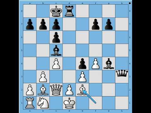 Legendarne partije sa neverovatnim napadom 🎯🎯🎯 LARSEN vs SPASSKY # 1871