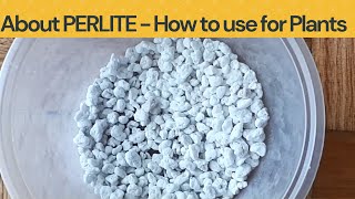 Perlite for Plants | All about Perlite and how to use in gardening