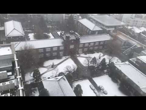 Snow falling on campus（雪の池袋キャンパス）【立教大学公式】