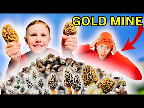 Morel Mushroom how to...(CATCH, CLEAN & COOK)