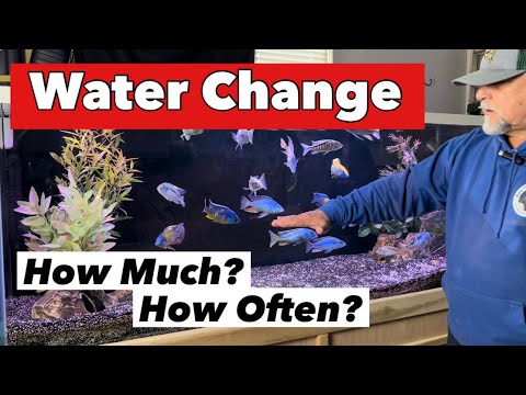 Tips for the BEST WATER CHANGE Routine! *** ”It’s Truly a Fluid Situation!” ***
