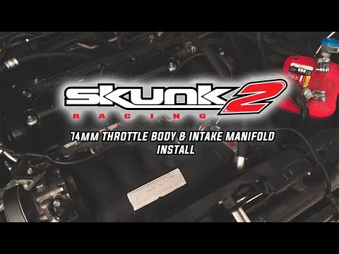 Throwing Some Skunk2 Racing on the RSX!