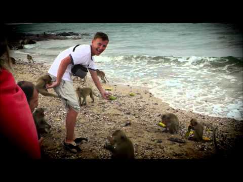 Морское сафари(Sea Safari)