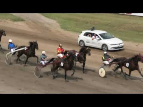 Trka "Ergela Kelebija-Kelebija" 22.08.2021 Leon Thomas A.T.- Petar Knekt