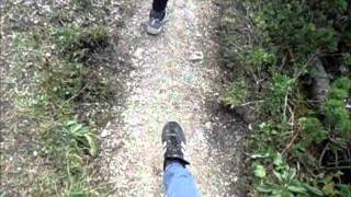 i monster- Sunny Delights