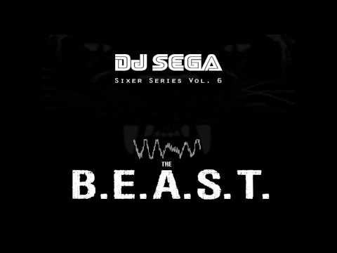 DJ Sega - BSB (Booyah Stupid Bitch)