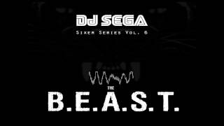 DJ Sega - BSB (Booyah Stupid Bitch)