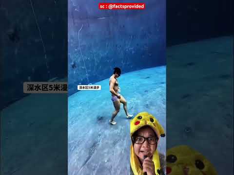 papa jangan berenang disaana #short factsprovided