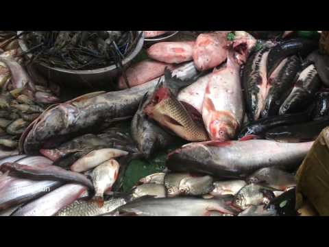 Asian Street Food, Natural Living In Asian Market, Walk Around Market Food In Asia