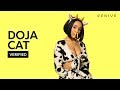 Doja Cat Mooo Official Lyrics Meaning Verified