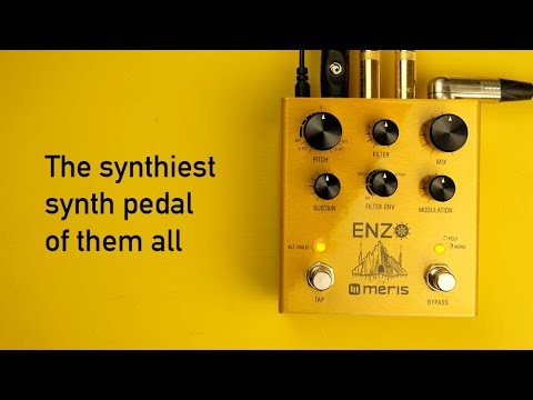 Meris Enzo: the synthiest synth pedal of them all