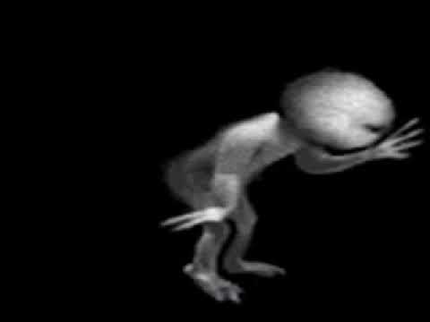 Skunk Association - F@cked Up World