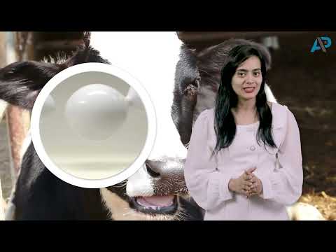 Export quality in gel form auragel -samridhi 300 ml