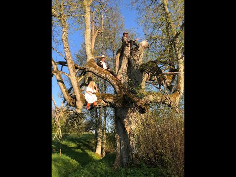 Ērika Eglija-Grāvele, Gints Andžāns: "Kaut Kas Mainās"