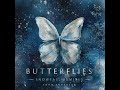 butterflies piano sonata