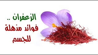 الزعفران .. فوائد مذهلة للجسم الزعفران .. فوائد مذهلة للجسم