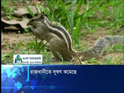 রাজধানীতে দূষণ কমেছে