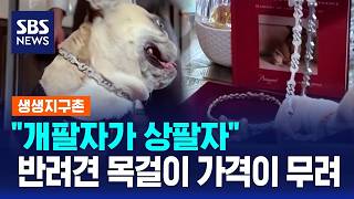 반려견 위한 '리미티드 에디션'..'억' 소리 나는 가격 / SBS / 생생지구촌