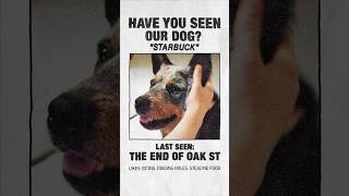 The End of Oak Street (2026) Video