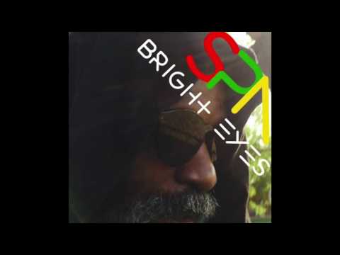 Steve Spacek - Bright Eyes