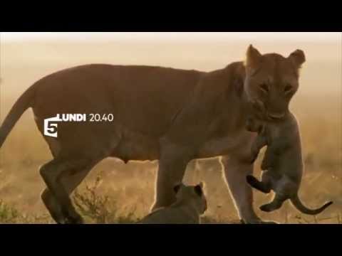 Bande-Annonce France 5 - Le voyage de la vie