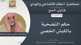 حكم التضحية بالكبش الخصي | الشيخ صالح آل الشيخ image