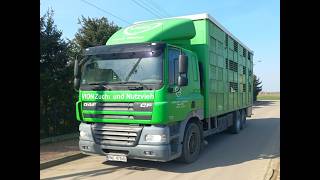 DAF CF 85.410 EEV dyretransport lastebil | Bilde 4 - Autoline