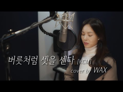 버릇처럼 셋을 센다 [원곡 : KCM] - cover by WAX(왁스)