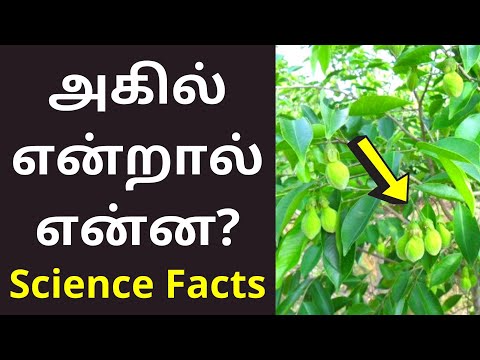 அகில் மரம் காழ்வை என்றால் என்ன? | Aquilaria Malaccensis in tamil | Science Facts 2021