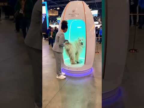 Dubai’s New AI Pet Barber Pod Will Blow Your Mind 😲🤖 Pet Haircut Machine 3.0 ✂️ #shorts