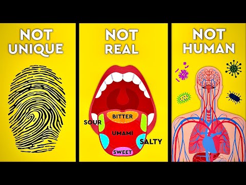 6 Myths Debunked About The Human Body