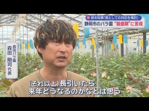YouTube Video 「長引いたらどうなるのかな」　重油だけでなく包装資材も高騰　不透明なイラン情勢にバラ園の苦悩　静岡市