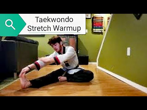 at home taekwondo warmup and stretch : follow along workout martial arts