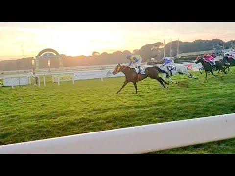 Pisa: La francese HEURE D'HIVER vince il "G.P di Primavera dell'Anglo Arabo" battendo Zeta Penny