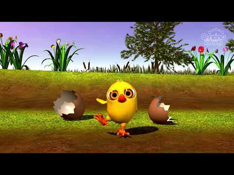 O Pintinho Piu - A Fazenda do Zenon | O Reino Infantil